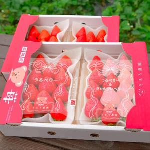 hatch (hatch910)さんの紅白いちごのフィルムパッケージへの提案