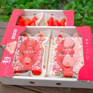 hatch (hatch910)さんの紅白いちごのフィルムパッケージへの提案