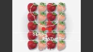 TT-Arts (vonchan)さんの紅白いちごのフィルムパッケージへの提案