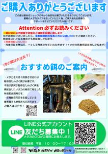 アプリコ (aprico5034)さんのメダカ屋の同梱チラシの作成依頼への提案