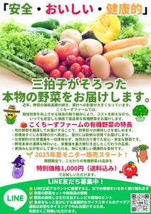 アプリコ (aprico5034)さんの有機野菜販売の新事業に関するLINE公式アカウント登録お願いのチラシへの提案