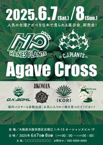 Shino2 Works (Shino2Works)さんのアガベ(植物)のイベントポスターをお願いします。への提案