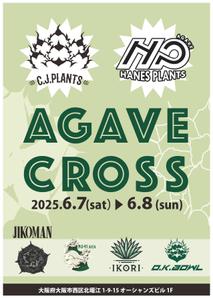 taka-design (taka-55)さんのアガベ(植物)のイベントポスターをお願いします。への提案