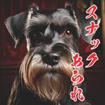 WEB屋さん (sousou727)さんのスナックあられのロゴへの提案