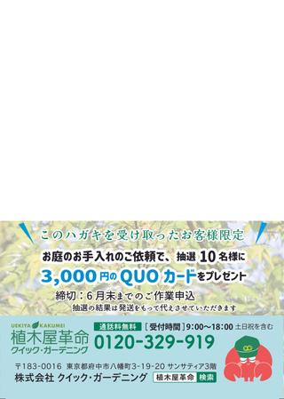 辻内あゆ (reichayunbo)さんの植木屋の顧客向け庭の手入れ案内のハガキデザインへの提案