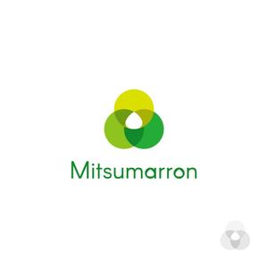eiasky (skyktm)さんのクリニック開業および運営支援サービス「Mitsumarron」のロゴへの提案