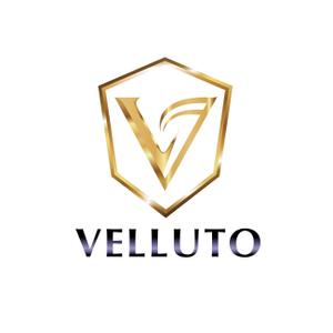 SUN&MOON (sun_moon)さんの高級車販売　VELLUTO のロゴへの提案