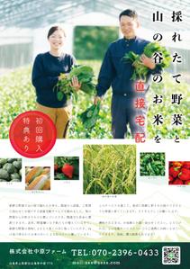 株式会社クリエイターズ (tatatata55)さんの野菜の宅配サービスのチラシへの提案