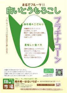 株式会社クリエイターズ (tatatata55)さんの白いとうもろこしの説明チラシへの提案