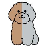 向日葵きのこ (kinoko32bk)さんの犬のキャラクターデザインへの提案