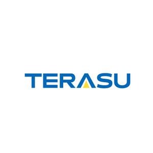 Izawa (izawaizawa)さんの電気工事会社「TERASU」のロゴへの提案