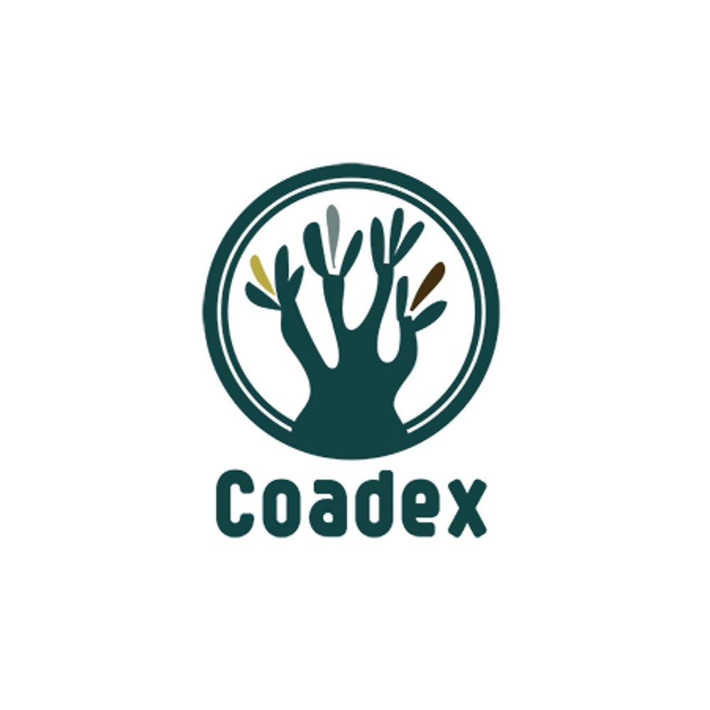 coadex_06.jpg