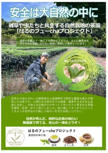 67kai (63ky2015)さんのお茶の自然栽培(農薬肥料無仕様の緑茶・ほうじ茶・紅茶）の案内用への提案