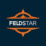 ピーター (iru1)さんのFELDSTARco.,ltd.  新会社設立にあたりロゴの作成のご依頼ですへの提案