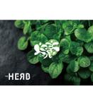 serihana (serihana)さんの【劇団HERB】という新プロジェクトのロゴへの提案