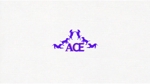 fontoknak (fontoknak)さんのゴルフレッスンの会社「株式会社ACE」のロゴへの提案