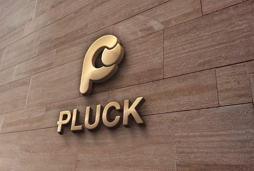 障害児者向け福祉サービスを運営する株式会社PLUCKのロゴ
