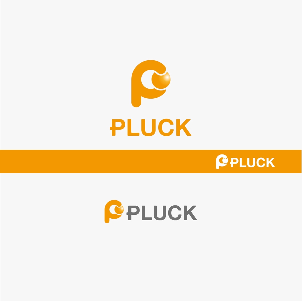 障害児者向け福祉サービスを運営する株式会社PLUCKのロゴ