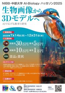akakidesign (akakidesign)さんの「NIBB・中部大学 AI-Biology ハッカソン2025」コンテストのチラシの仕事への提案
