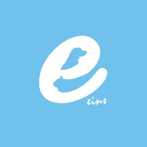 FLY HALF design (Arai_m)さんの株式会社「eins」のロゴへの提案