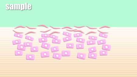 take_24 (take_24)さんの化粧品が肌（断面図）に浸透していく過程の動画制作の依頼への提案