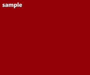 take_24 (take_24)さんの屋外デジタルサイネージ広告枠スポンサー募集動画の制作への提案