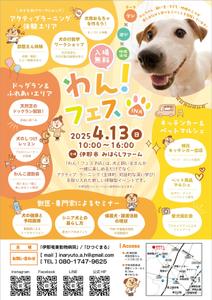 elimsenii design (house_1122)さんの長野県伊那市で開催！犬フェス『わん！フェス INA』のチラシデザイン募集への提案