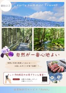 hatumeikaさんの会員制旅行サービス「ReNX」の会員募集チラシへの提案