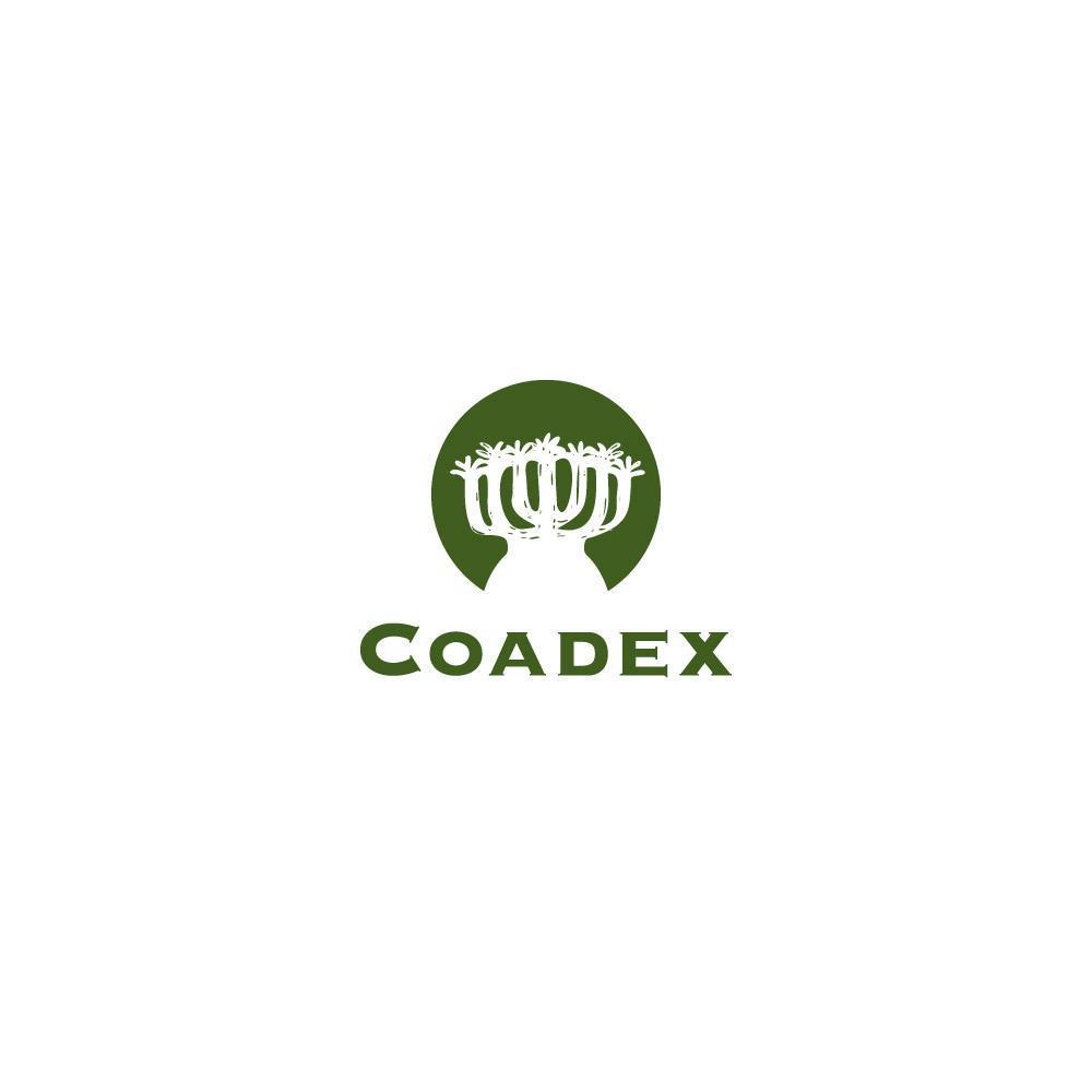 Coadex-03.jpg