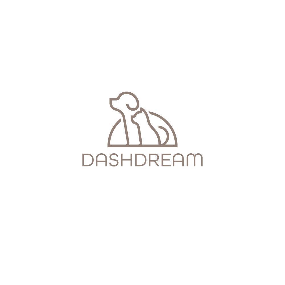 DASHDREAM-03.jpg