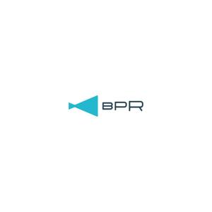 Hi-Design (hirokips)さんの広告、ネット、飲食、助成金などをビジネスをPRするということでBPRですへの提案