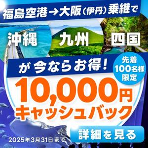 Buchi (Buchi)さんの福島空港乗継キャッシュバックのインスタFacebook広告クリエイティブへの提案