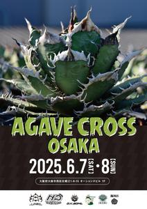 SO GOOD DESIGN (DESIGNS_8)さんのアガベ(植物)のイベントポスターをお願いします。への提案