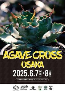 SO GOOD DESIGN (DESIGNS_8)さんのアガベ(植物)のイベントポスターをお願いします。への提案