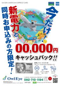 ラムフ (LAMF)さんのクレジットカード販促チラシへの提案