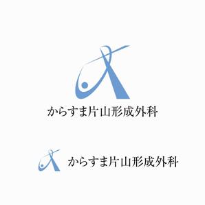 agnes (agnes)さんの【新規開業】京都市内の形成外科・美容クリニックのロゴデザイン依頼への提案