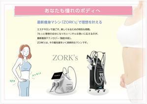og_sun (og_sun)さんの脂肪冷却マシン「ZORK's」のカウンセリング資料作成への提案