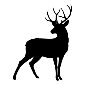 株式会社Deer