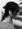kyou0313