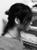 kyou0313