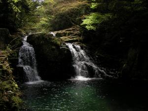 to_yama
