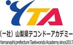 YTA_taekwondo