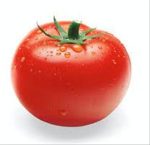 TOMATO