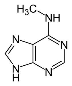 左京