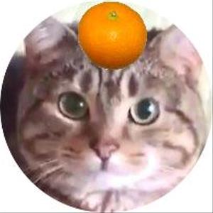 二ノ宮生紗子