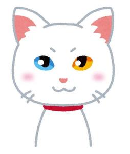 オレンジ
