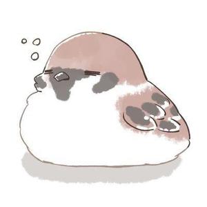 珠々目