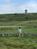 siroann_04