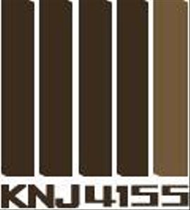 kenji4155