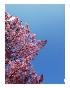 木屋町先斗